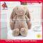 Plush Fabric Material And PP Cotton Filling Plush Rabbit