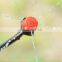 4L/H(1 GPH) Pressure Compensating Drip Irrigation Emitter - Turbo Style On Line Dripper