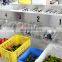 High effective blueberry fruit selecting machine blueberry fruit grading machine