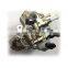 ISDE Diesel Engine Fuel Injection Pump 5264248