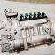 BYC 6BTA5.9-C130 High pressure fuel injection Pump 4994681 for engineering machinery