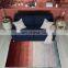 Amazon Hot Mink Carpet and Rugs Carpet for Living Room