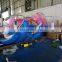 Cheap price inflatable dolphin design pool toys inflatable customized water toys