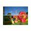 Fun In The Jungle Inflatable Jump Bouncer Moonwalk Inflatables Kids Jumping Bouncer For Sale