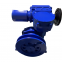 SKD multi-rotary electric actuator