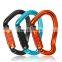 JRSGS Carabiner Clips Aluminium Snap Hook 23kN Ultra-Light Locking Climbing Carabiner Customized the LOGO S7109TN
