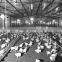 Steel Structure Workshop, Steel Structure Poultry House and Poultry Farming Workshop