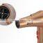 Professional Travel Hair Dryer for India Market