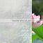 92cm x 50m Decoration Privacy Frosted Frosting Removable Window Glass Film AP-712