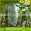 1%-4% uv treatment 100% polypropylene agriculture nonwoven fabric ,agriculture spunbond nonwoven faric for plant,vegetable
