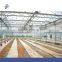 Circulation Fan for greenhouse