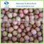Best Quality Frozen Lychee Fruit