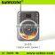 Hot new product D-66 portable wireless amplifier, fm radio speaker