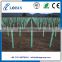 Weatherproof PP Corrugated Plastic Tree Guards/ Tree Protectors/ Tree shelters
