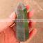 Top Quality Green Aventurine Quartz Wand for healing