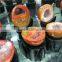 Natural Red Chinese Zhanguo Agate Geode Cornucopia Crystal Ornaments