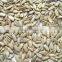 Chinese Sunflower seeds kernels for sale