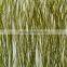 Acrylic Sea Weed Grass Price PVC Wall Panel, pvc panel for wall