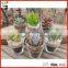 Great Garden Decoration Glassware Clear Succulent Glass Pot