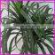 decoration wholesale artificial bonsai tree