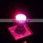 Full Spectrum Led Grow Light Smallest 5W 10W 15W E27 Led Grow Lamp for Flowering,hydroponics System