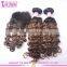 2016 Best Quality Deep Wave Brazilian Remy Ombre Hair Weave Cheap Human Hair Lace Closure