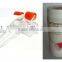 A Big Discount for Closing Christmas /professional use DNS derma roller(200Pcs needles)