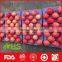 Chinese Shandong Fresh Fuji Apples for Export