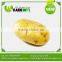 2016 Hot Sale Best Fresh Yellow Potatoes