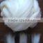 Good Luster Australia Wool Tops for Spinnin 16.5-20.5mic 1.5 -2inch