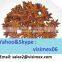 VIETNAM HIGH QUALITY STAR ANISE (website&Yahoo: visimex06)