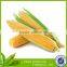 canned fresh sweet corn