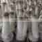 Whole Part And Cultivation Processing Type Oyster Mushroom Grow Bag