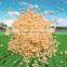 Granulated ammonium sulphate,Water soluble ammonium sulphate