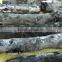 Maittew Harwood White Charcoal From Laos