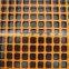 Plastic Square Flat Mesh/Square Plastic Mesh/Deer Fence