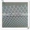 Plastic Flat Mesh/plastic flat wire mesh/flat plastic mesh
