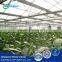 Agricultural/ Industrial Ventilation & Cooling System Exhaust Fan