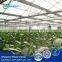 China greenhouse mechanical ventilation fan