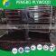 filmed concrete form poplar boards 15mm with logo