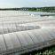 High Performance Pe Film Greenhouse For Strawberry