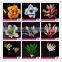 Top sale decorative handicraft home decoration design handicraft decoration