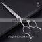 Japanese Professional Hair Cutting Scissors