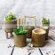Unique Beautiful Home & Garden Decoration Nature Green Bamboo Flower Vase