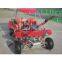 Beach Go Kart 150cc