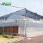 China Low Price Classic Commercial Plastic Film Greenhouse/Garden Greenhouse for sale