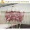 Professional Kebab Maker Wearing String Machine BBQ Skewer Machine