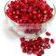 Natural Pomegranate dry seeds suppliers