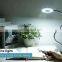 USB powered Brightness adjustable Eye protection Learn Clip black table lamp