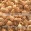 Coconut from 500gms to 600gm